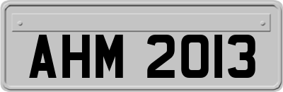 AHM2013