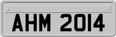 AHM2014