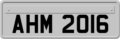 AHM2016