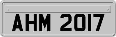 AHM2017