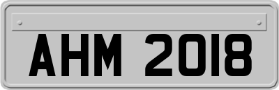 AHM2018