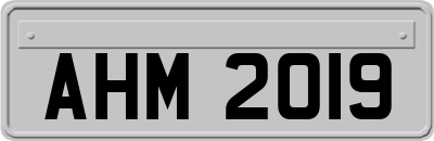 AHM2019