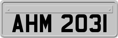 AHM2031