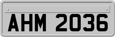 AHM2036