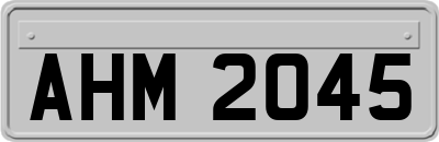 AHM2045