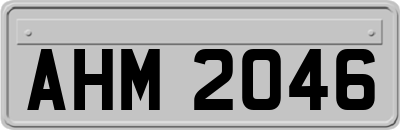 AHM2046