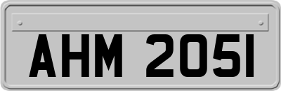 AHM2051
