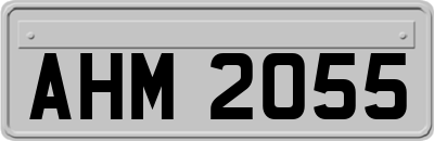 AHM2055