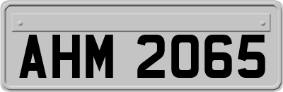 AHM2065