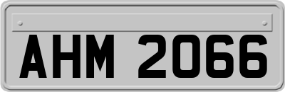AHM2066