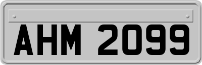 AHM2099