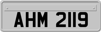 AHM2119