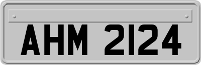 AHM2124