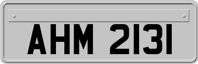 AHM2131