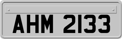 AHM2133