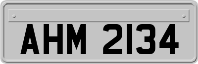 AHM2134