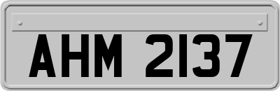 AHM2137