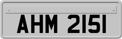 AHM2151