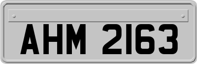 AHM2163