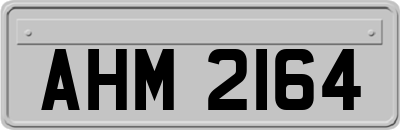 AHM2164