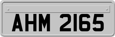 AHM2165