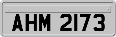 AHM2173