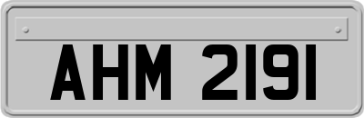 AHM2191