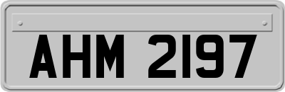 AHM2197
