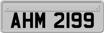 AHM2199