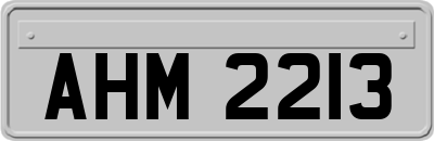 AHM2213
