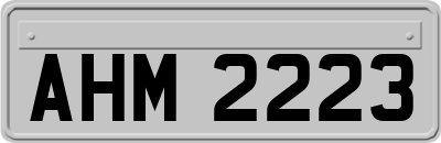 AHM2223