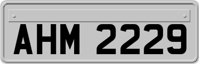 AHM2229
