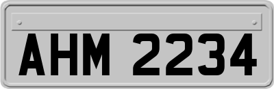 AHM2234