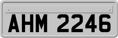 AHM2246