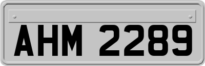 AHM2289