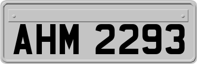 AHM2293