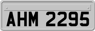 AHM2295