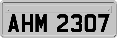 AHM2307
