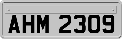 AHM2309