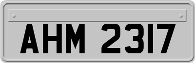 AHM2317