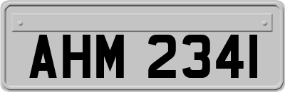 AHM2341