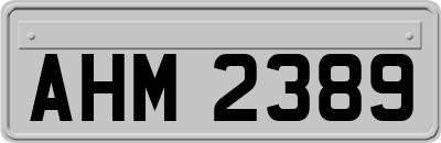 AHM2389