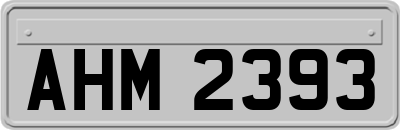 AHM2393