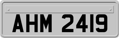 AHM2419