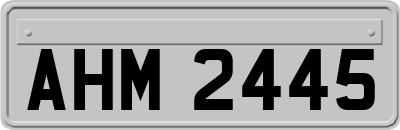 AHM2445