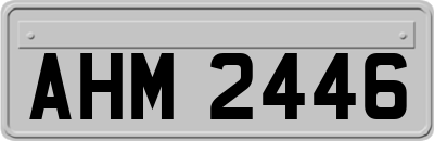 AHM2446