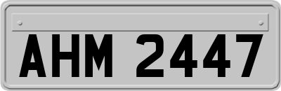 AHM2447
