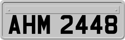 AHM2448
