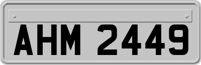 AHM2449