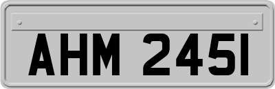 AHM2451